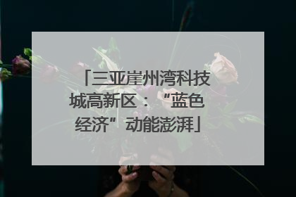 三亚崖州湾科技城高新区：“蓝色经济”动能澎湃
